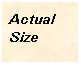 Text Box: ActualSize